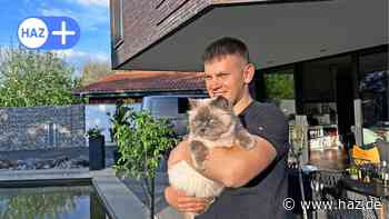 Sehnde: Katzen müssen künftig kastriert und registriert werden - HAZ