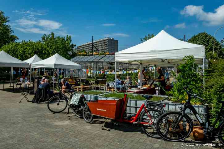 Plantenmarkt en deelbeurs moedigt stadsbewoners aan om aan het tuinieren te slaan