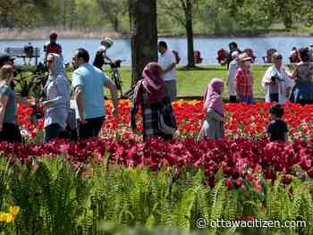 Weather: Happy Mother's Day, a great week ahead, (and a sunny high of 19 C for Sunday)