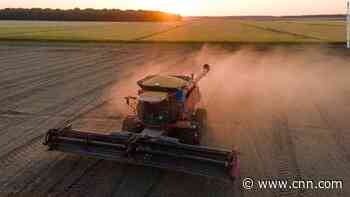 Trump's trade war looms over soybean farmers 4 years later