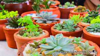 Feira Colonial de Ivoti terá programação especial para o Dia das Mães - Revista News