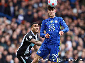 Journalist says Nottingham Forest want Jamaal Lascelles from Newcastle - Nottingham Forest News