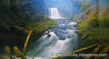 There’s an incredible sunken forest under the waters of Clear Lake in Oregon, America! - Times of India
