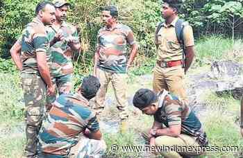Forest watchers in Silent Valley stay at mercy of wild animals - The New Indian Express