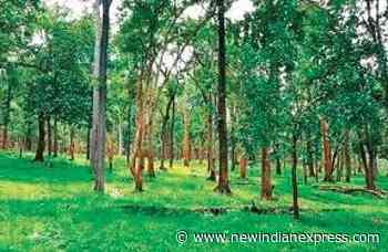 Six lakh hectares deemed Karnataka forest land ‘declassified’ - The New Indian Express
