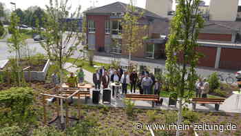 Neugestaltung in Ehrenbreistein: Bäume statt Abfallcontainer - Koblenz & Region - Rhein-Zeitung