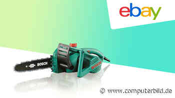 Ebay-Deal: Elektro-Kettensäge von Bosch für 80 Euro abstauben - COMPUTER BILD