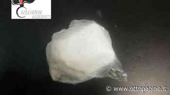 Niente fuochi artificio per arrivo della cocaina, a Benevento non ha 'nevicato' - Ottopagine