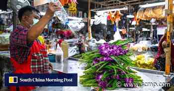 Blooming shame: Coronavirus, China lockdowns, Ukraine war hurts Thai orchid industry - South China Morning Post