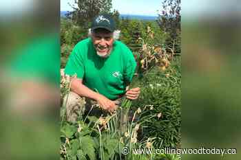 Tips from a master gardener: spring is a busy season for your gardens - CollingwoodToday.ca