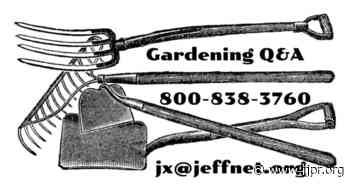 Know your soil temps and more, in Master Gardener Q&A - Jefferson Public Radio