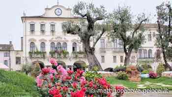 Il Comune di Este dice “No” alla panchina anti-omofobia, è polemica - Il Mattino di Padova