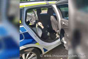 Dartford police rescue lost swan wandering University Way