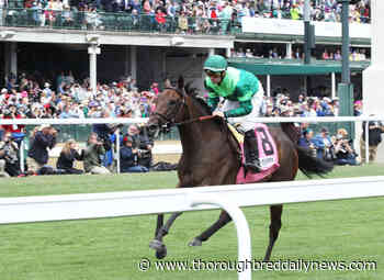 Pricey Arqana Buy Speak of the Devil Leads Home Brant and Brown 1-2 at Churchill - Thoroughbred Daily News