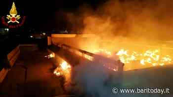 Grosso incendio nella notte alla zona industriale di Bari, fiamme distruggono capannone - BariToday