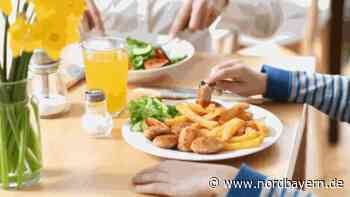 Genuss ohne Tierleid: Ist das Labor-Fleisch eine echte Alternative? - Nordbayern.de