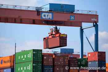 Handel warnt vor Belastungen durch Lieferkettengesetz - freiepresse.de