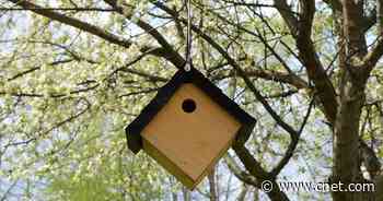 Liven Up Your Garden With Up to 51% Off Wind Chimes, Bird Feeders and More     - CNET