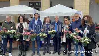 Crotone, un'azalea per la ricerca in Piazza Pitagora ricordando l'Architetto Nino Crugliano - CrotoneOK.it