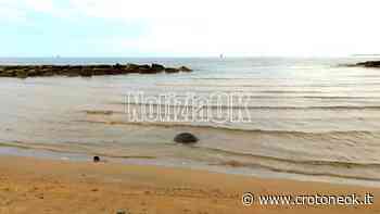 (Video) Crotone, strani avvistamenti: di cosa si tratterà? - CrotoneOK.it