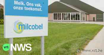 De kaasvoorraad van Milcobel in Moorslede mag terug in verkoop na vermoeden van listeriabesmetting - VRT NWS