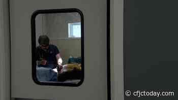 Vet shortage forces Kamloops animal hospital to stop after-hour care - CFJC Today Kamloops