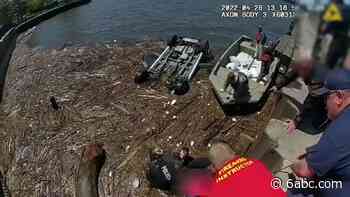 Bodycam video shows Gloucester City police officers, good Samaritans rescue driver who plunged off Freedom Pier - WPVI-TV