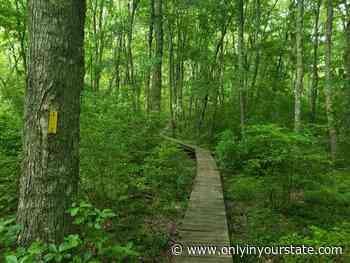 With A Waterfall And Boardwalk, The Little-Known Vin Gormley Trail In Rhode Island Is Unexpectedly Magical - Only In Your State