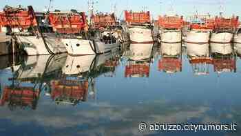 Vongole ancora piccole e "tenere". Nuovo fermo per le vongolare del Cogevo NOSTRO SERVIZIO - Abruzzo Cityrumors