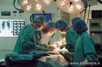 A Pisa trapiantati fegato e reni donati da ultraottantenne a cuore fermo - intoscana - InToscana