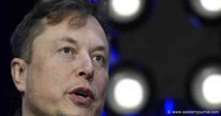 Musk Reveals Size of Twitter Bloodbath - Will Literally 'Decimate' Twitter Staff, Bring in Even More of His Own People