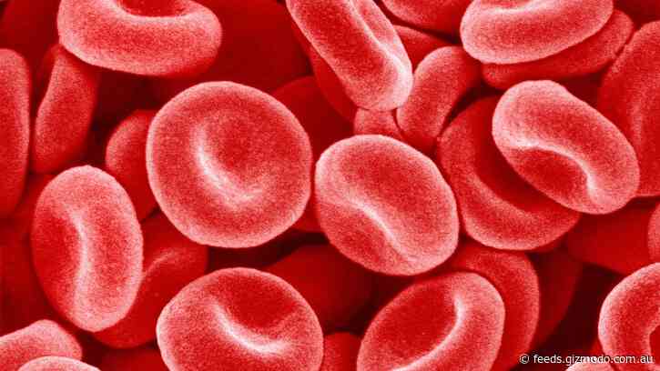 Your Phone Lens Could Soon Give You an Instant Disease Diagnosis, Thanks to This New Device