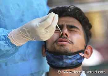 Coronavirus News Highlights: Maharashtra reports 224 new cases, one death; active count now 1304 - Deccan Herald