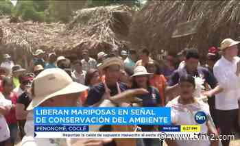Cientos acuden a la Feria de la Naranja en Churuquita Grande - TVN Noticias