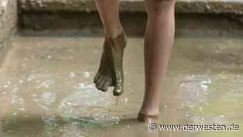 Barfußpark in der Heide startet in die neue Saison - DER WESTEN