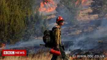 New Mexico wildfire: Huge blaze could worsen this weekend