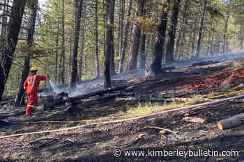 Firefighters contain wildfire near Baynes Lake - Kimberley Bulletin