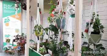 Voortaan ook planten en accessoires te koop in De Kringwinkel - Het Laatste Nieuws