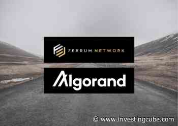 Algorand Price Prediction: ALGO Soars in a Bloodbath - InvestingCube