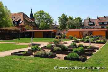 Franziskaner-Klostergarten auf dem Breisacher Münsterberg ist wieder offen - Breisach - Badische Zeitung - Badische Zeitung