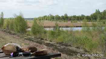 Es muss nicht immer der Stadtpark sein: Picknick mal woanders: Fünf alternative Plätze in Papenburg - NOZ