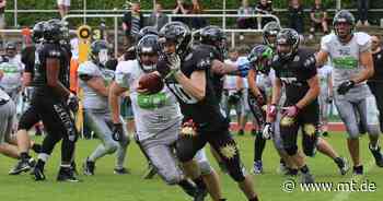 Traumstart nach Traumjahr - Minden Wolves feiern gegen Lippstadt Kantersieg vor vollen Rängen - Mindener Tageblatt