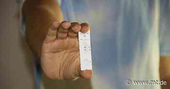 Inzidenz sinkt weiter - erneut zwei Todesfälle - Mindener Tageblatt