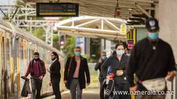 Covid 19 coronavirus: Wage subsidy supported close to 50% of Kiwi jobs - New Zealand Herald