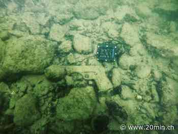 Sulz: Polizeitaucher finden bei Übung gefährliche Sprengkapseln im Rhein - 20 Minuten