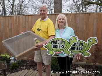 Watch 4 Turtles signs, nesting boxes now available | Sarnia & Lambton County This Week - Sarnia and Lambton County This Week