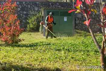 Verde pubblico: Malgrate e Civate affidano a Silea la cura - Prima Lecco