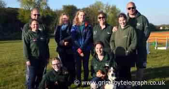 North Lincolnshire dog fly ball team aim high after Crufts success - Grimsby Live