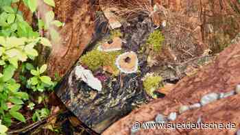 Land-Art in Olching: Pfad der Waldgeister - Fürstenfeldbruck - Süddeutsche Zeitung - SZ.de