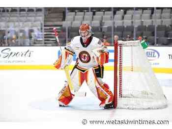 Wolf named AHL's top shot-stopper - Wetaskiwin Times Advertiser